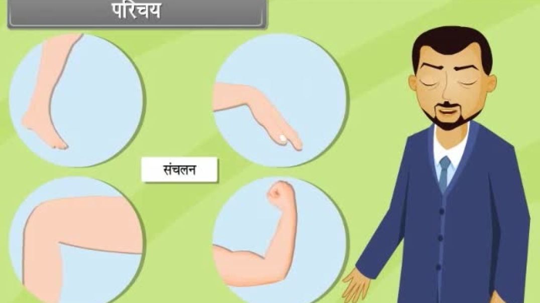 Class 11th hindhi Mediam Biology Animated video of Locomotion and Movements