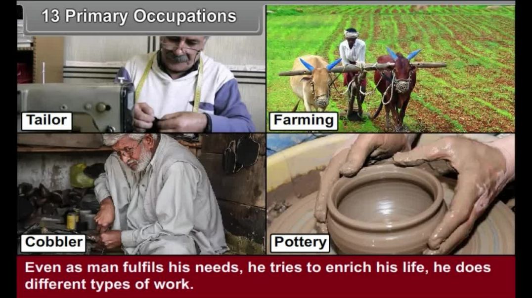 Class 8th_EM_Social Science-Primary Occupations