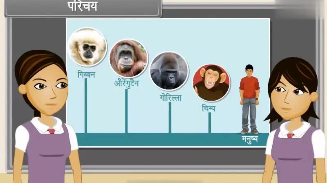 Class 12 th Hindi Medium Biology Animated video Of Evolution -2