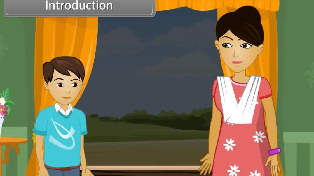 Class 11 th English Mediam Chemistry Animated video of Redox Reaction