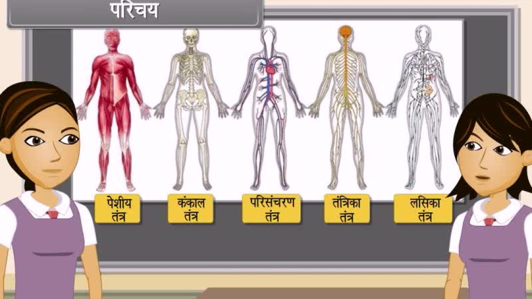 Class 10th hindhi Mediam biology Animated video of Control And Coordination-I