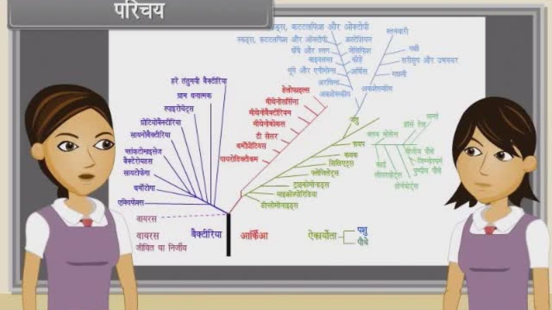 Class 11th hindhi Mediam Biology Animated video of Biological Classification-II