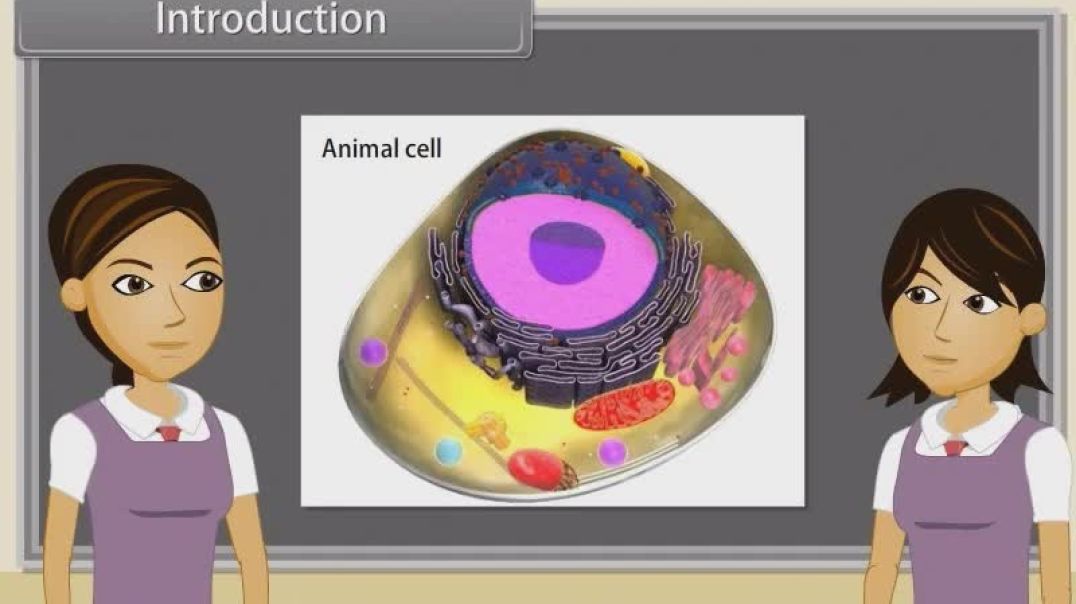 Class 11 th English Mediam Biology Animated video of Cell The Unit Of Life-I-13