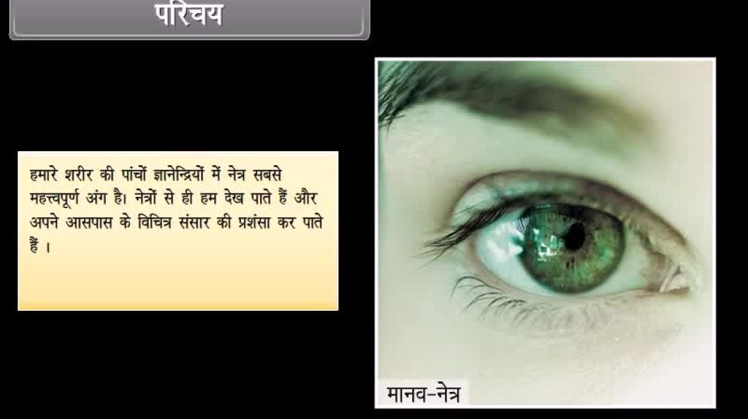 Class 10th hindhi Mediam Physics Animated video of  Human Eye and Colorful World