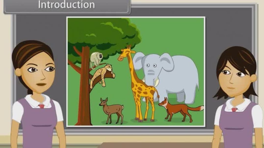 Class 11 th English Mediam Biology Animated video of The Living World-I-37