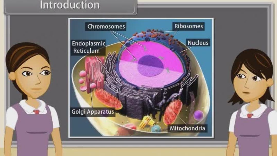 Class 11 th English Mediam Biology Animated video of Cell The Unit Of Life-Iv-16