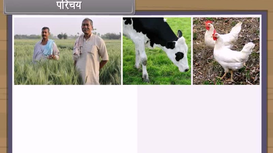⁣Class 9th_Hindhi Mediam biology Animated video of Improvement in Food Resources