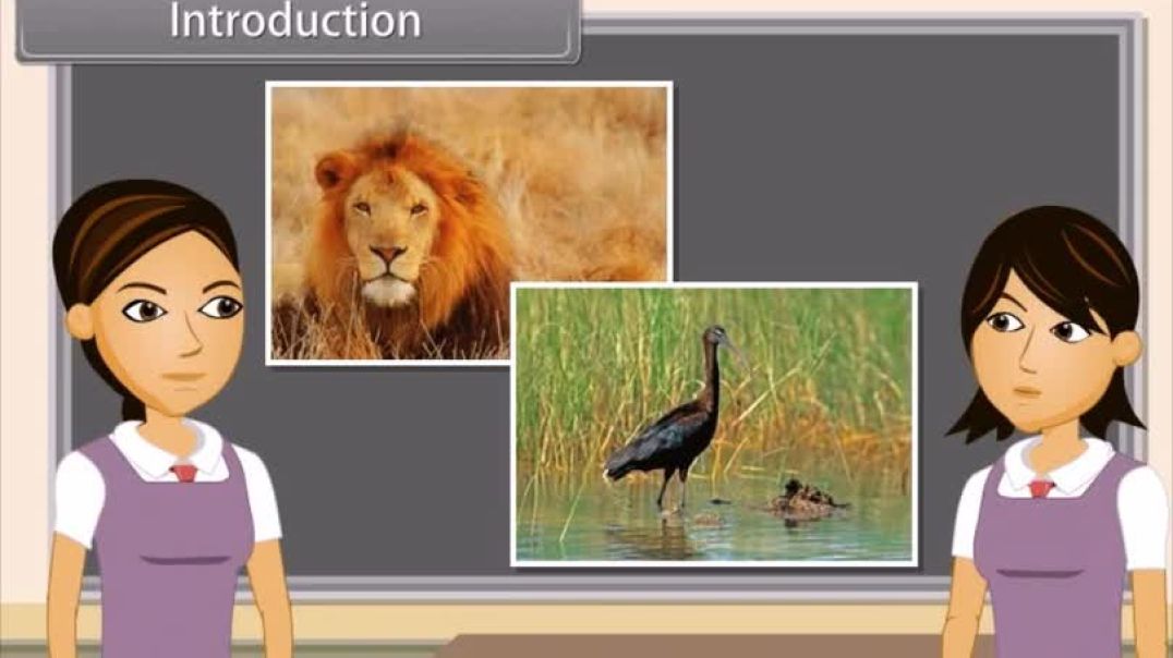 Class 10th_English Mediam Biology Animated video of Life Processes-II