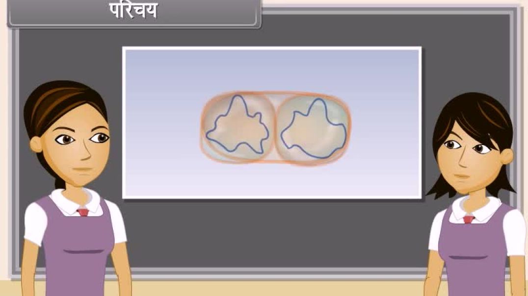 Class 10th hindhi Mediam biology Animated video of How Do Organisms Reproduce-III