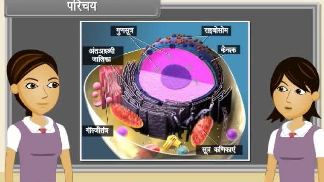 Class 11th hindhi Mediam Biology Animated video of Cell The unit of Life-IV