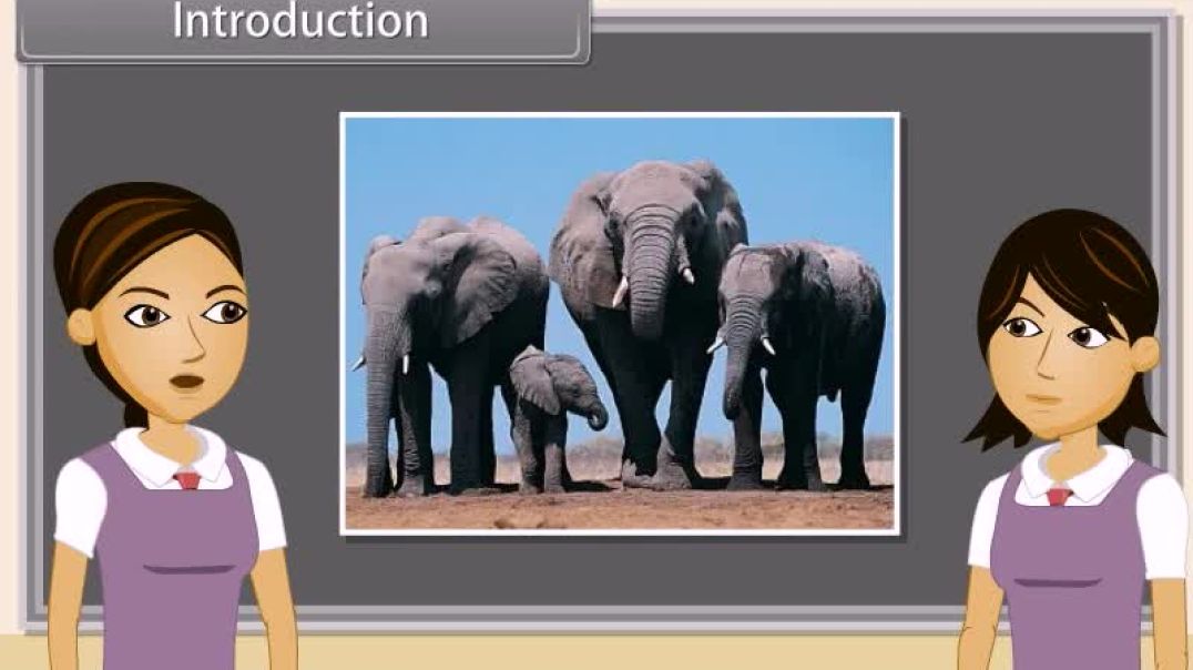 Class 10th_English Mediam  Biology Animated video of  How Do Organisms Reproduce-I