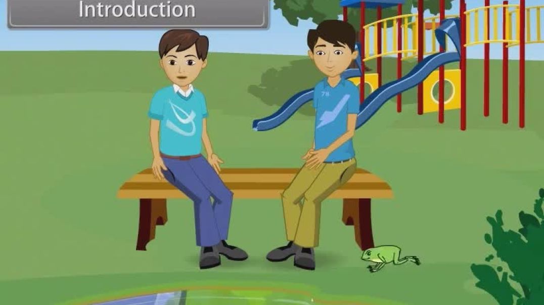 Class 11 th English Mediam Biology Animated video of Structural Organsiation In Animals-Ii-36