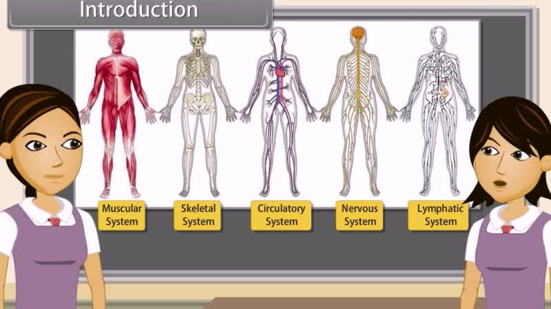 Class 10th_English Mediam Science Biology Animated video of Control And Coordination