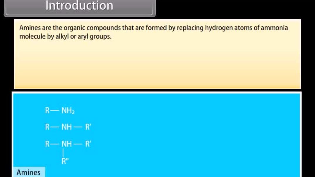 Class 12 th English Medium Chemistry Animated video Of Amines