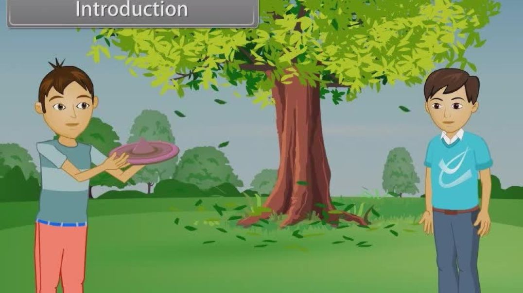 Class 11 th English Mediam Biology Animated video of Body Fluids A_ Circulation-9