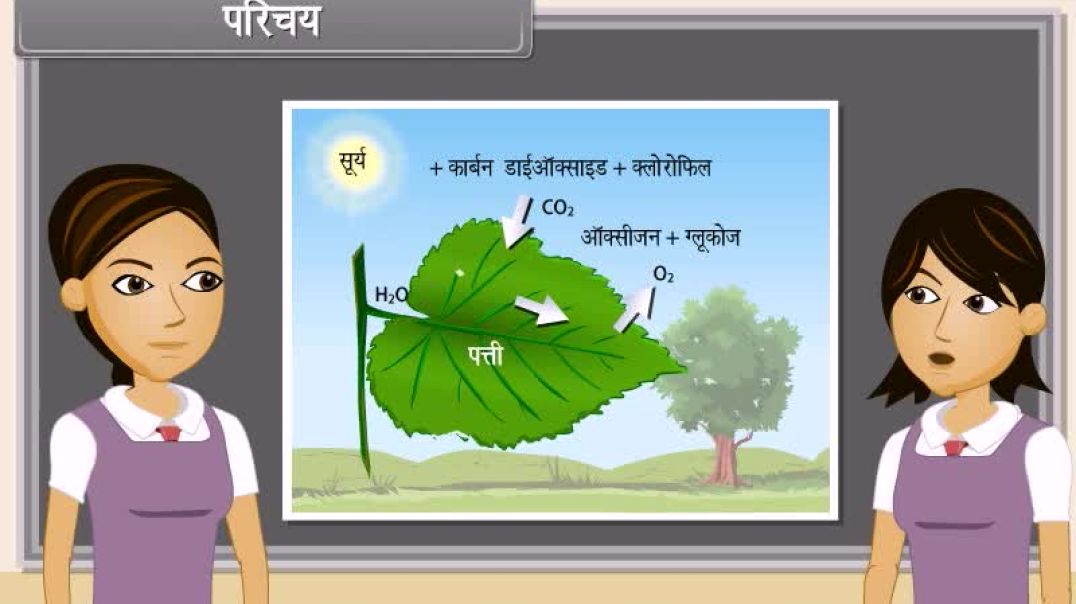 Class 10th_Hindhi Mediam biology Animated video Of Life Processes-Excreation-V