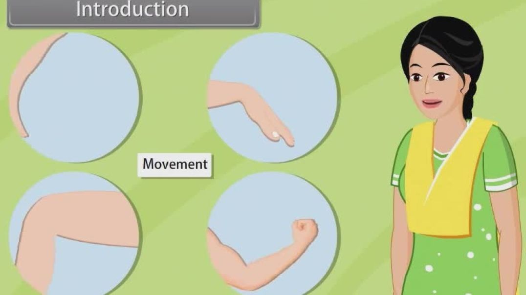 Class 11 th English Mediam Biology Animated video of Locomotion And Movements-20