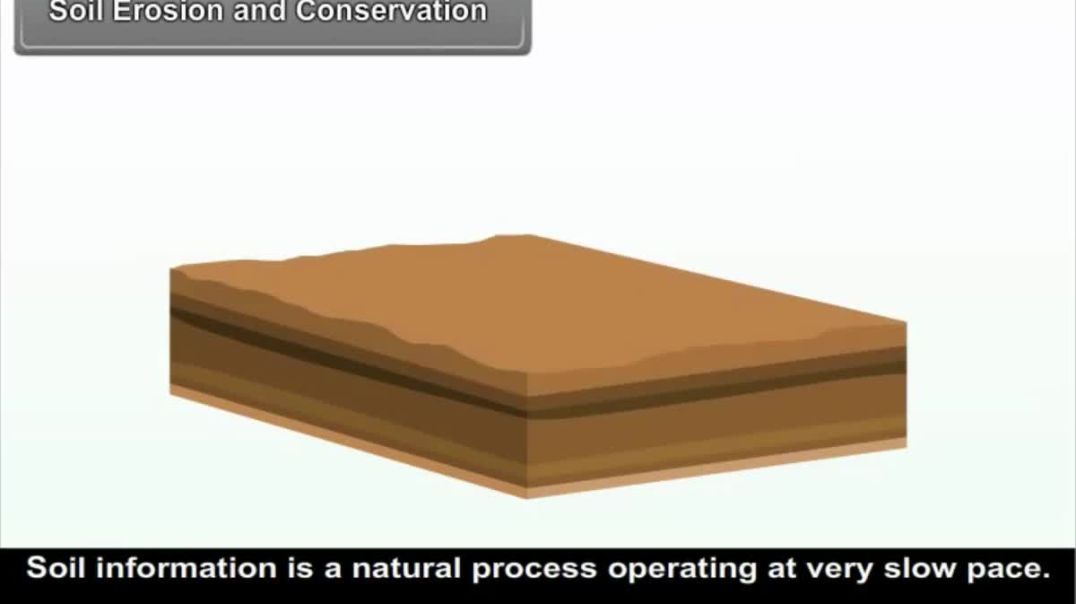 Class 9th_English Mediam Social Science Animated video of Climate-2-7