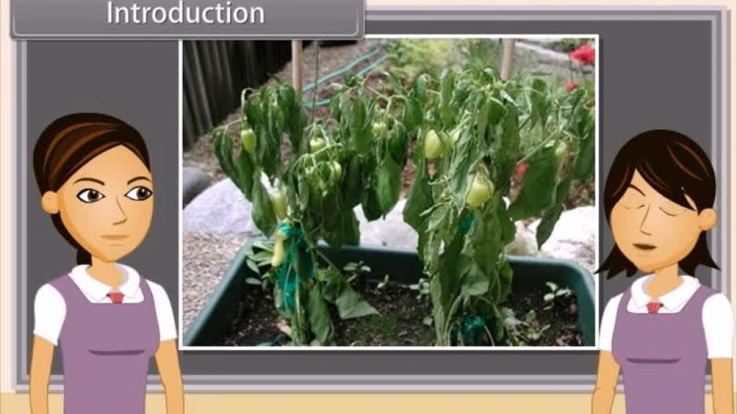 Class 10th_English Mediam Biology Animated video Of Management of Life Processes-Transportation-IV