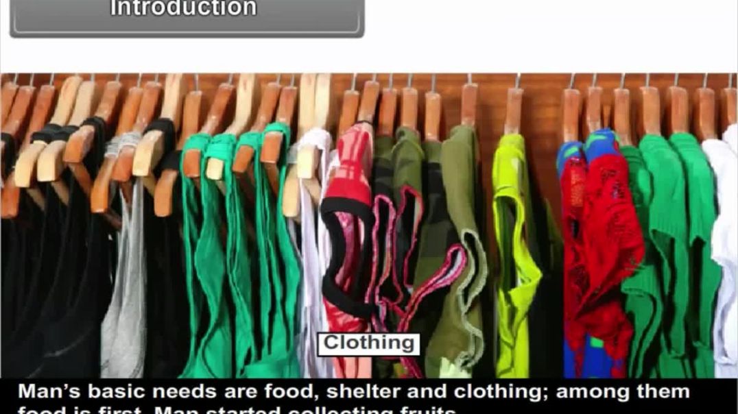 Class 9th_English Mediam Social Science Animated video of Occupation-21