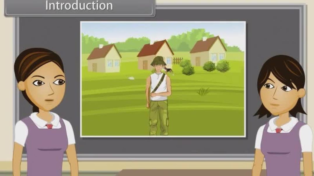 Class 11 th English Mediam Biology Animated video of The Living World-Ii-38