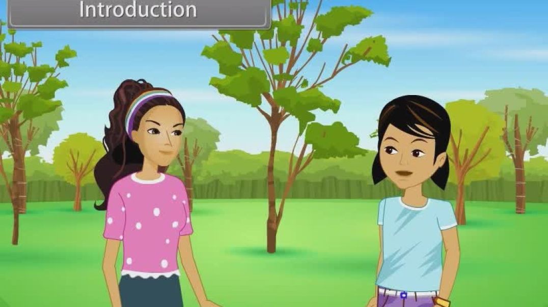 Class 11 th English Mediam Biology Animated video of Long Distance Transport Of Water-21