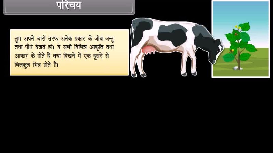 ⁣Class 9th_Hindhi Mediam biology Animated video of Cell and Its Structure