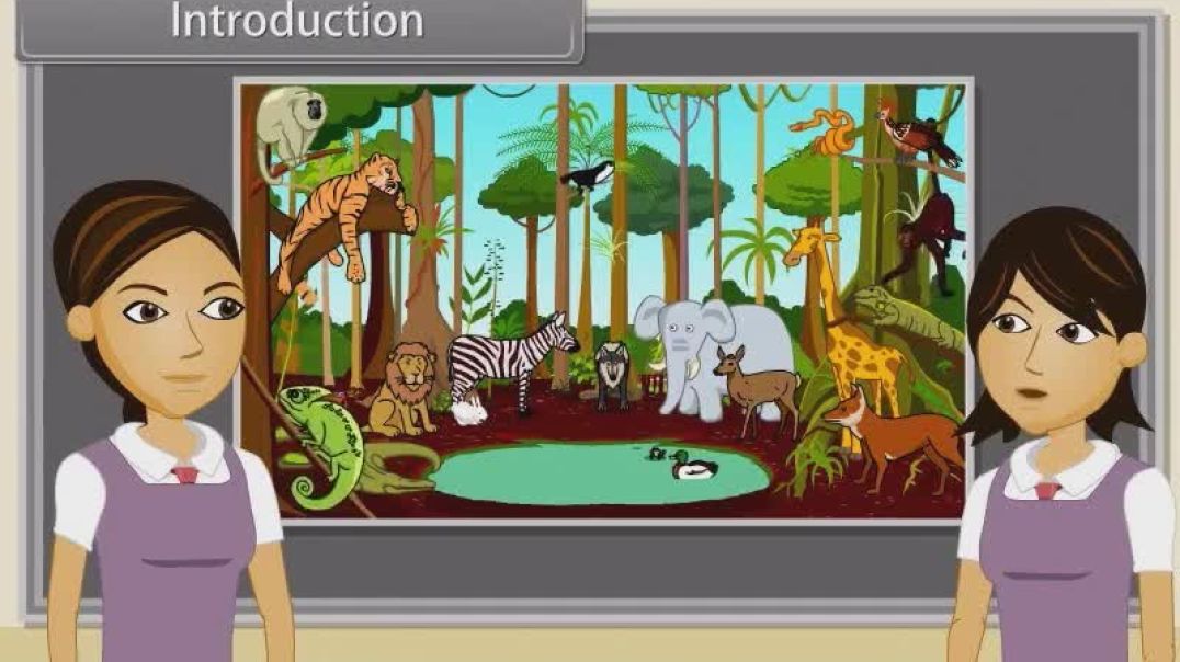 Class 11 th English Mediam Biology Animated video of Animal Kingdom-II-3