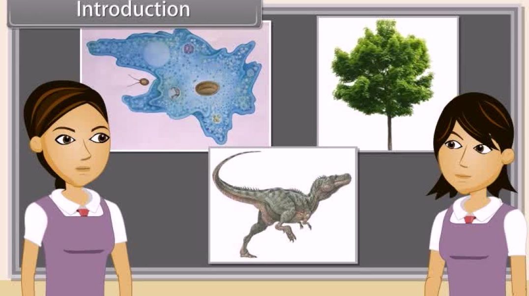 Class 12 th English Mediam Biology Animated video of Evoloution-I