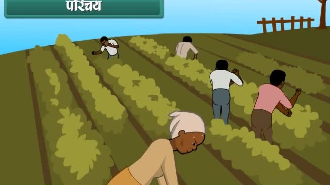 Class 8th_Hindhi Mediam Science Animated video of Crop Production