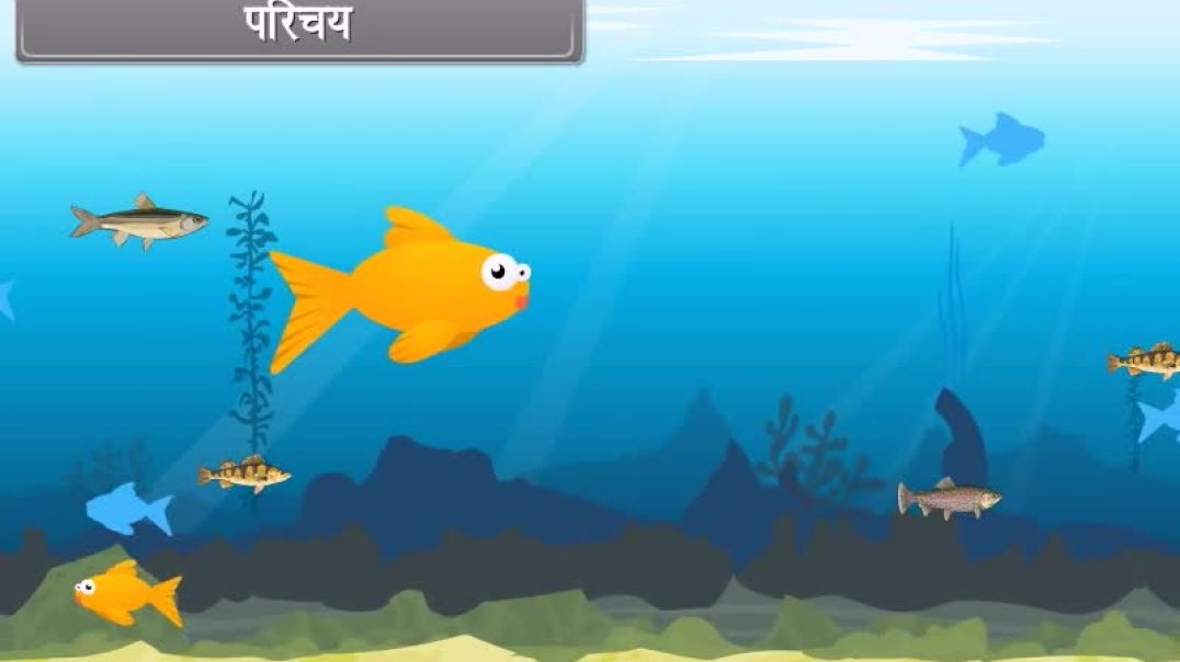 ⁣Class 9th_Hindhi Mediam biology Animated video of Diversity in Living Organisms