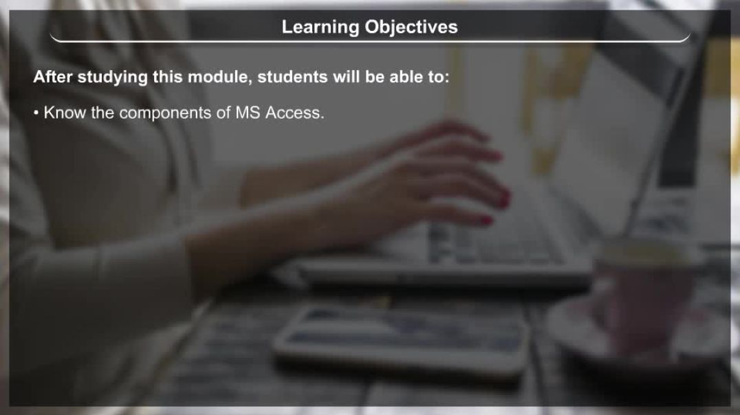 Class 11 th English Mediam Commerce Animated video of Accounting System Using Data Base Management
