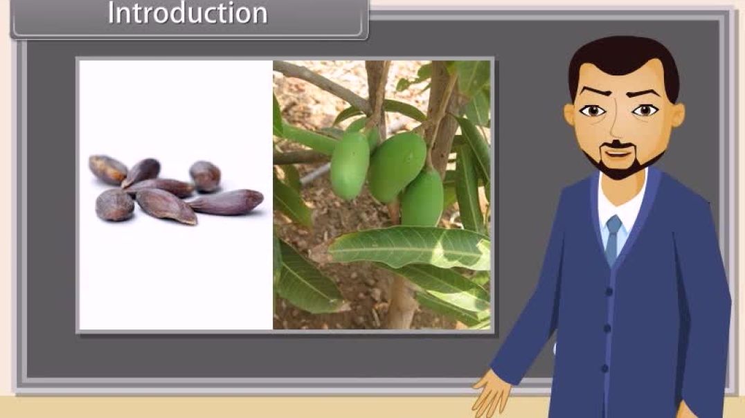 Class 12 th English Mediam Biology Animated video Of Princilpes of Inheritance and variation-I