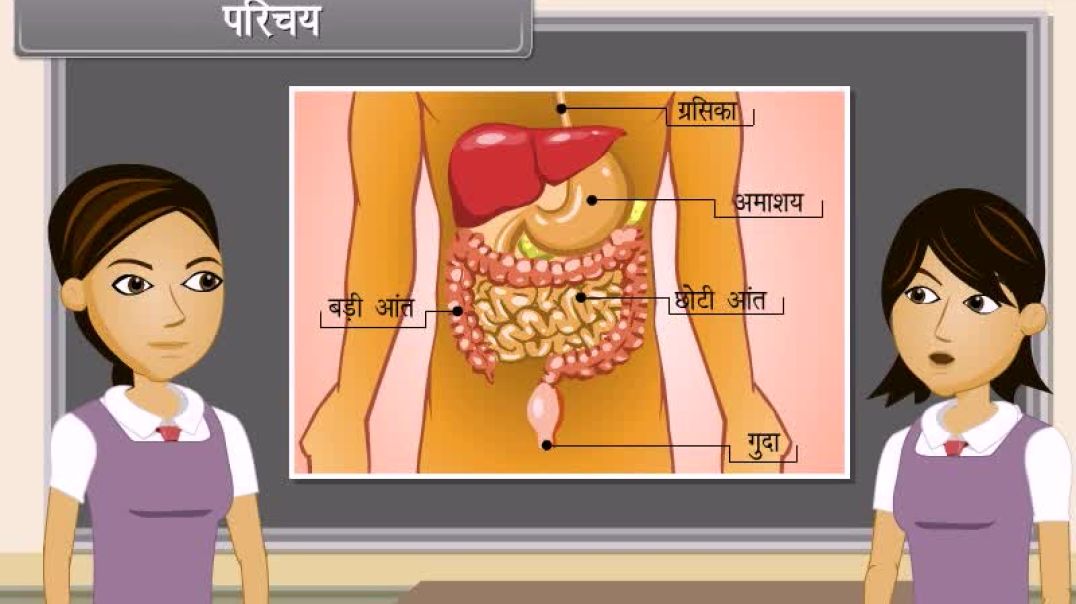 Class 10th hindhi Mediam biology Animated video of Life Processes-I