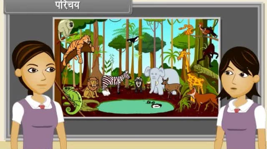 Class 11th hindhi Mediam Biology Animated video of Animal Kingdom-II