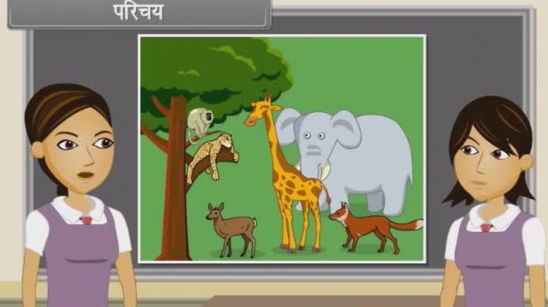 Class 11th hindhi Mediam Biology Animated video of The Living World-I