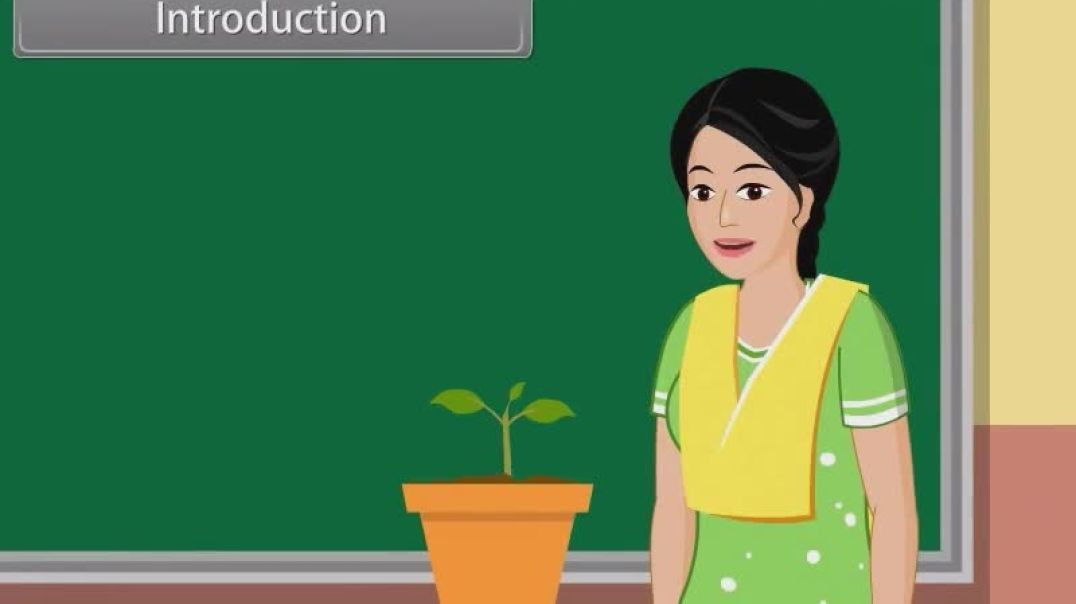 Class 11 th English Mediam Biology Animated video of Anatomy Of Flowering Plants-1(1)