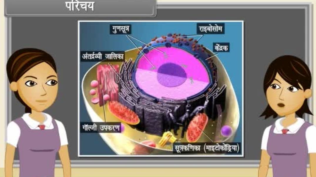 Class 11th hindhi Mediam Biology Animated video of Cell The unit of Life-V