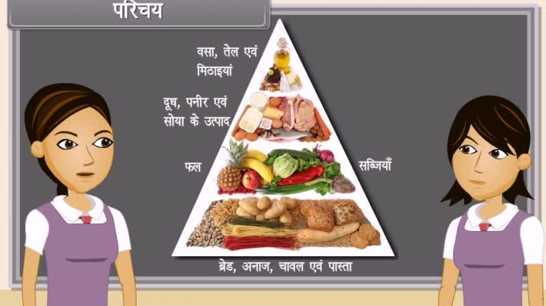 Class 10th hindhi Mediam biology Animated video of Life Processes-Transportation-III
