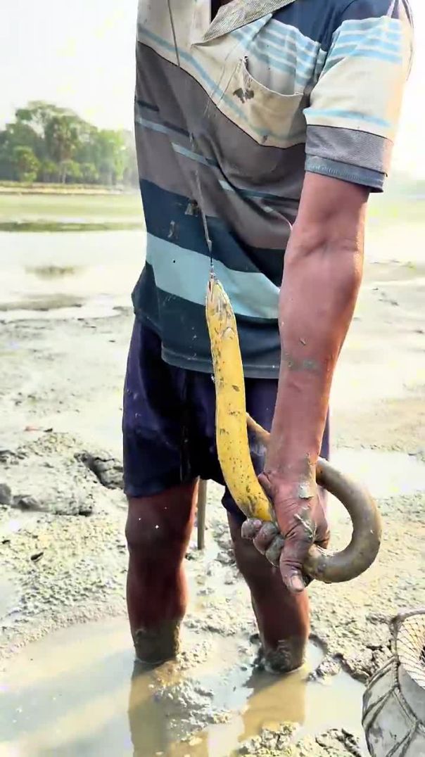 fish catching 1kg size